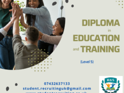 diploma in education